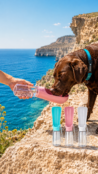 Portable Dog Water Bottle